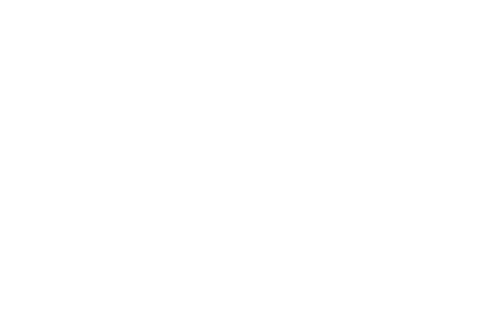 Anderson logo - white